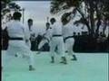 shorinjikenpo enbu 3to2 少林寺拳法演武 #50衆敵