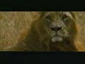 antylopa.wmv antylopa.wmv