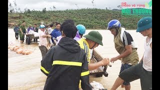 Nghi Lộc - Nghệ An: Nguy cơ vỡ đập Gà, 150 cán bộ và nhân dân ra sức đắp kè cả đêm