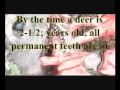 How to Field Dress a Deer