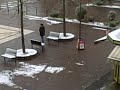Fresh Snowfall
