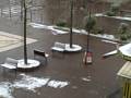 videos de Fresh Snowfall