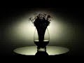 Apologize Music Video