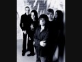 Sham Rain - Withdraw
