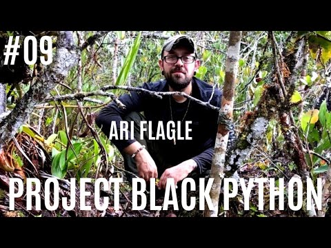 YouTube reptile video