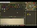 videos de runescape bank trick