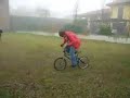 Jackass a s.martino