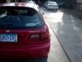 Nice EG Hatch