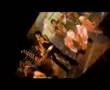 Pratichee's showreel