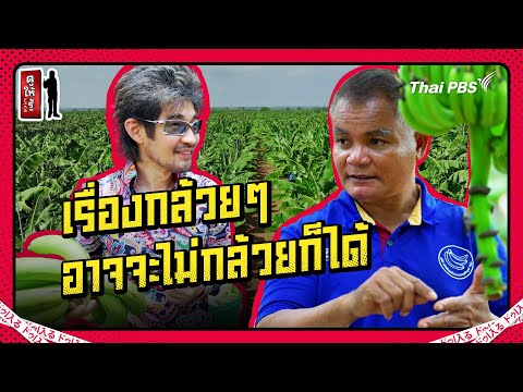 ส่งออกกล้วยไทยไปญี่ปุ่น