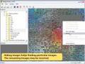 ImageSorter sorts images automatically