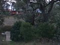 DSCF4354