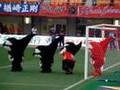 20080628グランパスVSアントラーズ グランパスくんJr VS ドアラ 炎のPK対決