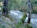 Ribeira de Alge em Ma��s de Dona Maria