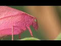 Agua...Mas Que Un Tubo Trailer