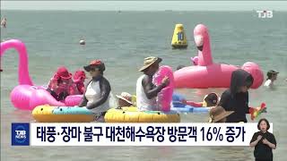 [0821 TJB 8시 뉴스]태풍·장마 불구 대천해수욕장 방문객 16% 증가