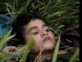 Colombia: 6,210 niños muertos en combate armados FARC