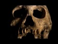 Rewriting human history