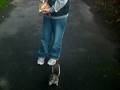 videos de squirrels chester