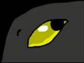 Pokemon-Flash-With-H