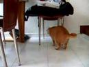 Tigger\ Tigger\