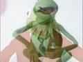 remembering kermit the frog