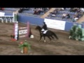 Click here to watch this video 2012 April SHOWJUMPING-George and Sprite go fast at SIEC.wmv