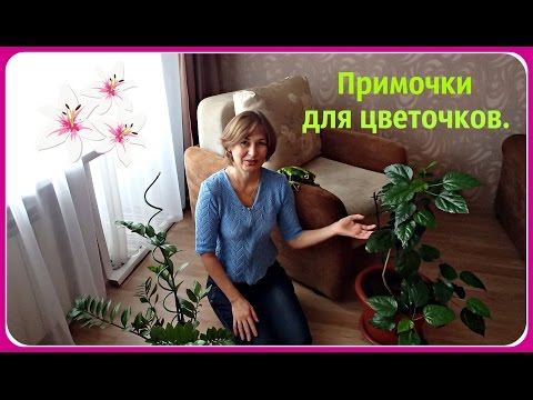 Что делать чтобы листья цветов блестели