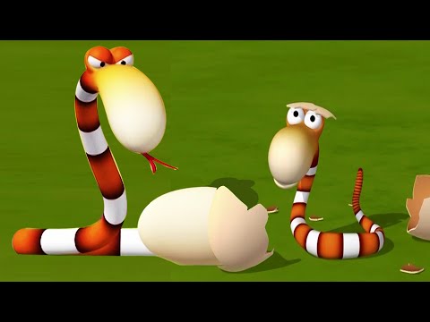 Funny Animals Cartoons Compilation Just for Kids Enjoyment!!!