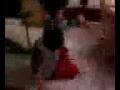 cuhhh dancing to milkshake/ misery business:):)