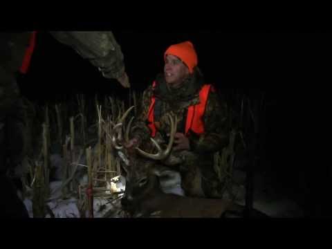 how to properly tag a deer in illinois