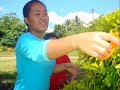 Kesungguhan pelajar 5UUM SMK Bingkor melaksanakan salah 1 tugasan amal untuk kerja kursus Pendidikan Moral SPM 2008..Syabas & Tahniah daripada Cikgu Arni..
