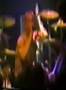 Bl'ast! - Posion (live)