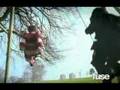 artic monkey-