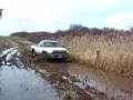 videos de roostin