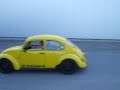 yellow-fast-bug