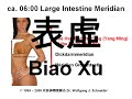 Qi Meridian Introduction by Dr. Wolfgang J. Schneider 2/2