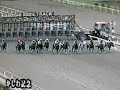 船橋2008　かしわ記念　1600m Jpn1