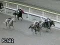 船橋2008　かしわ記念　1600m Jpn1