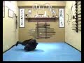 Gimnasia 4 Bujinkan Colombia