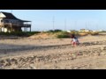 Lee Lee Flies a Kite