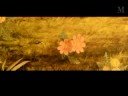 Final Fantasy Tribute - Chasing Cars