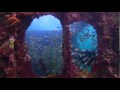 Visit Aruba - YouTube