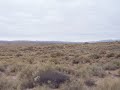 New mexico travelers bureau submission tape