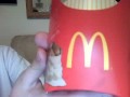 french fries are yummy for your tummy!