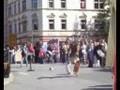Stadtfest in Aue