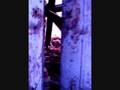 videos de sl2.wmv
