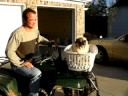 Pug rides in laundry basket on a 4 wheeler Pug rides in laundry basket on a 4 wheeler