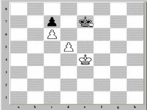 chess computer