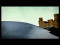 videos de wwf